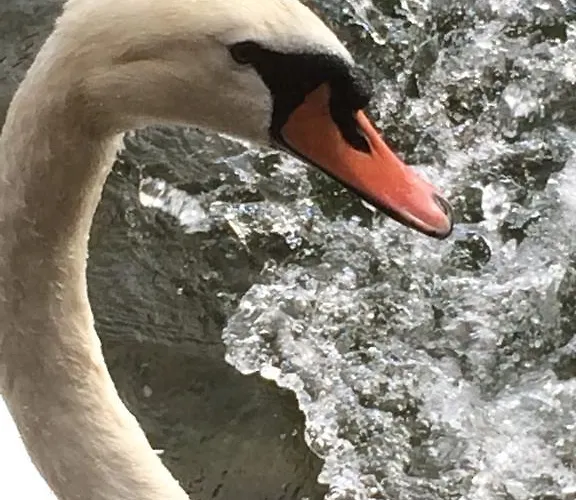 ベッド・アンド・ブレックファスト Le Darsene *